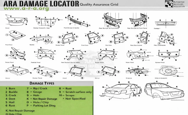 ARA Featured Training Lesson