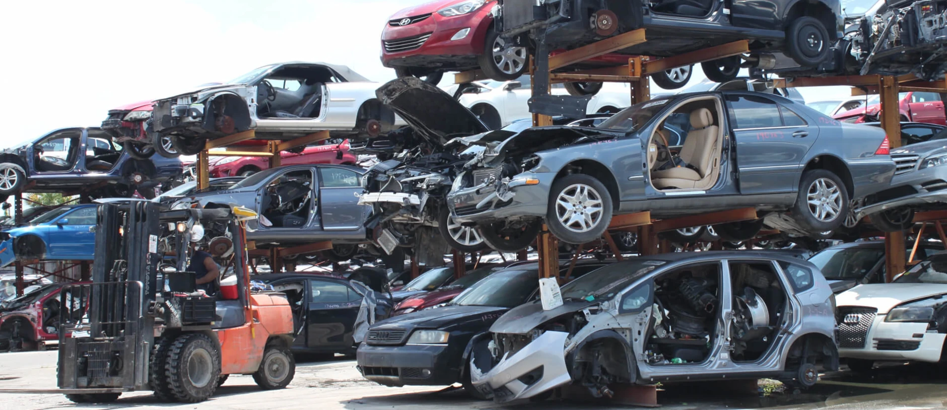 ARA University Members Yard