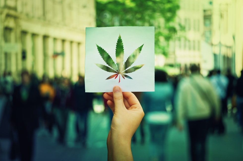 Cannabis in the Workplace 7 Facts Employers Should Know