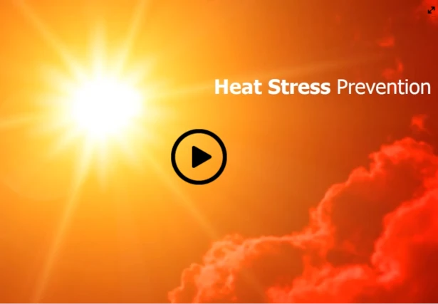 heat stress prevention
